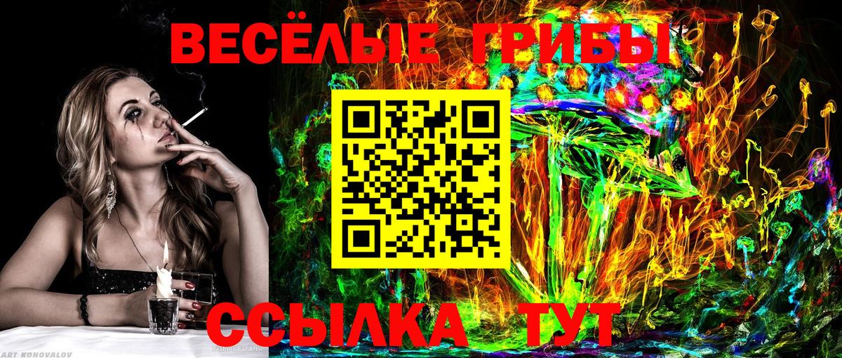 Псилоцибиновые грибы мицелий Шали
