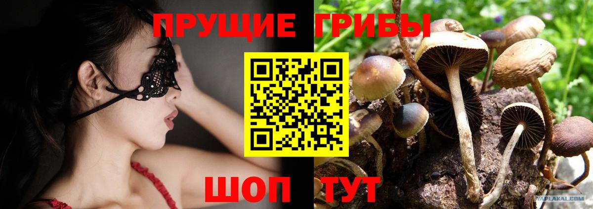 Галлюциногенные грибы Psilocybine cubensis  Вход с VPN  Шали  Псилоцибиновые грибы ЛСД 